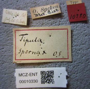 Media type: image;   Entomology 10330 Aspect: labels